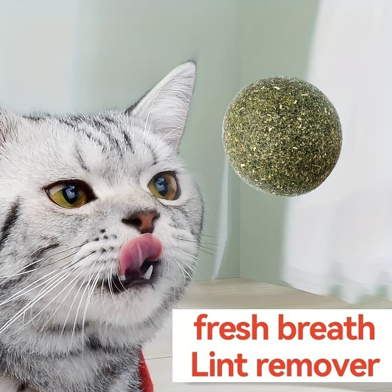 2026 New Cross-border Drop Shipping Pet Ball Polygonum Chew Stick Cat Toy Ball