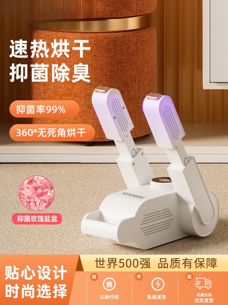HYUNDAI Shoe Dryer and Deodorizer Sterilizer for Home Use, Adult Shoe Warmer and Dryer for Students