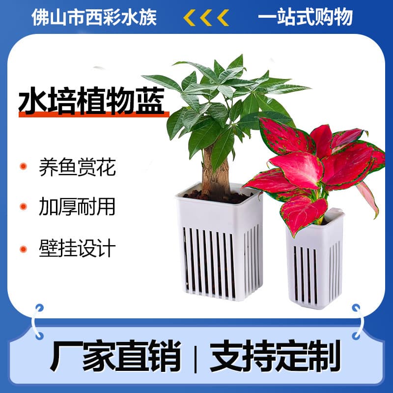 Fish tank wall-mounted hydroponic plant basket household aquatic plant cup emergent plant planting basket fish tank landscaping decoration