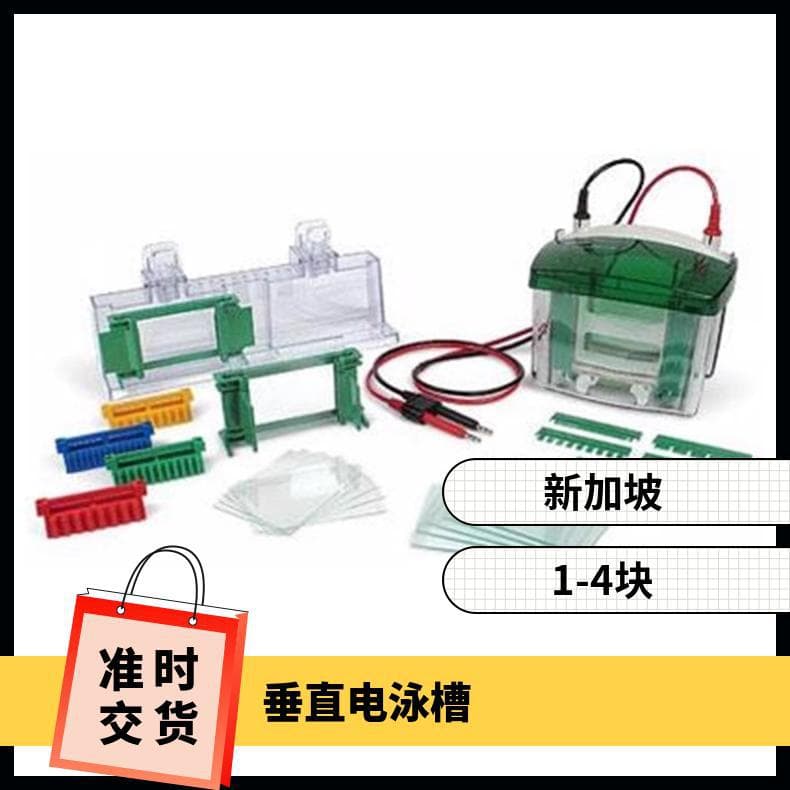 Bio-Rad Mini Vertical Electrophoresis Tank 1658001 Working Temperature 0-40°C Quantity 99 4 Pieces Lainai Others