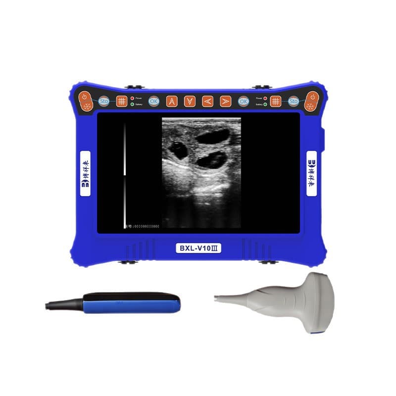 B-ultrasound Machine for Pigs, Cattle, and Sheep - Boxianglai Sow Pregnancy Detector with HD Probe, Multiple Probe Options Available