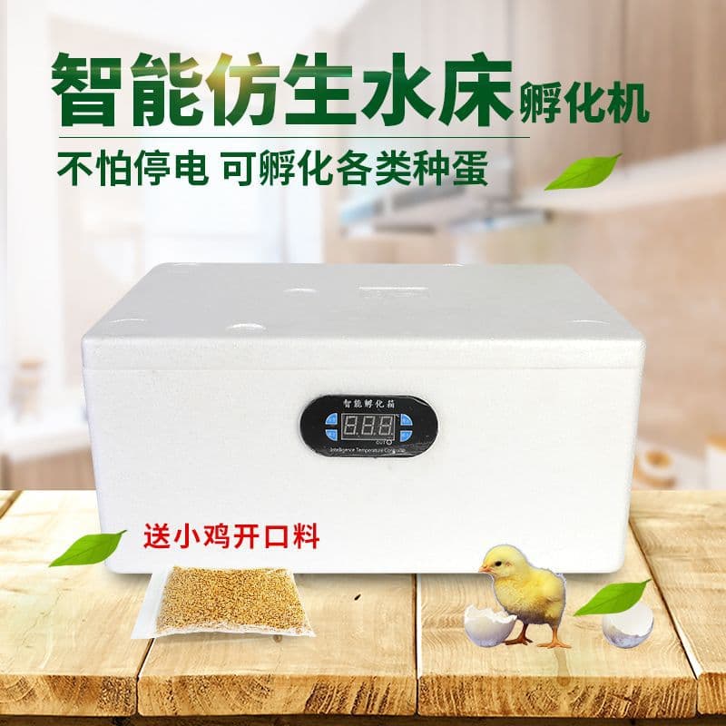 Small Household Fully Automatic Smart Water Bed Incubator Mini Incubator for Chickens and Other Eggs