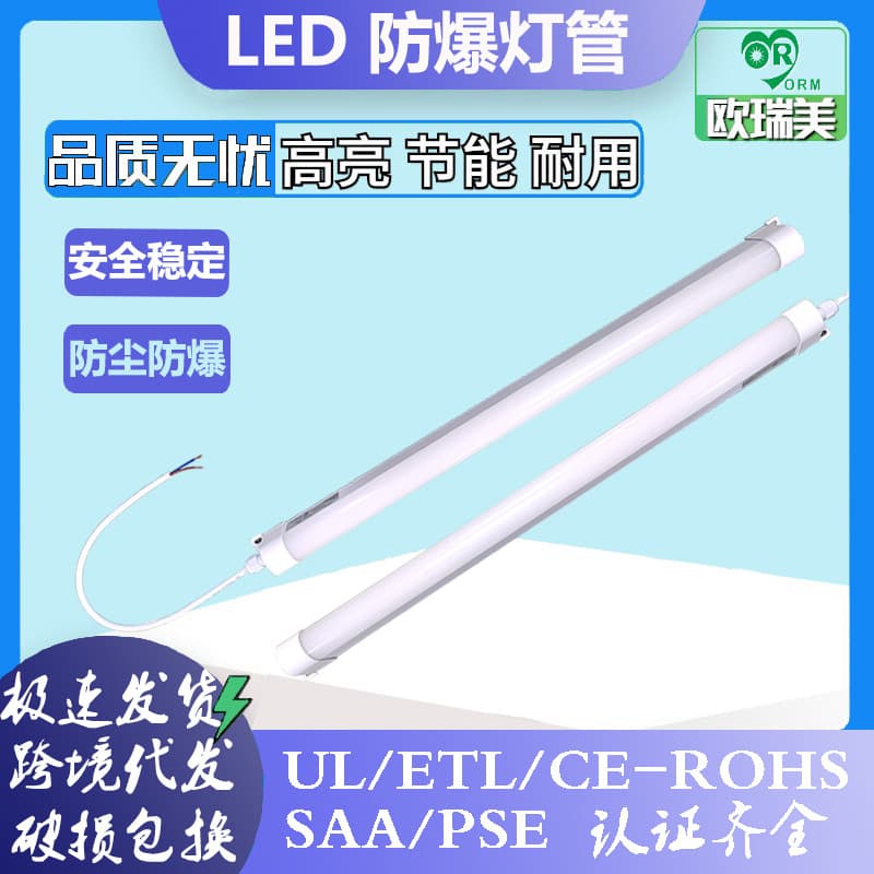 Manufacturer Wholesale LED Explosion-proof Lighting Fluorescent Tube Energy Storage Container Specific Bracket Explosion-proof Waterproof Linear Light