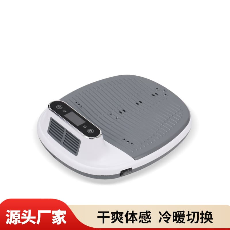In-Stock Negative Ion Body Dryer for Home Bathroom, Human Body Skin Dryer, Dual-Temperature Body Comfort Blower
