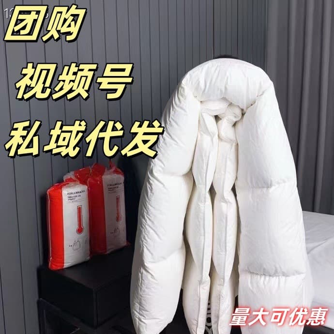 Solid Color Feather Silk Cotton Winter Quilt Double Heat Retention Yijia Same Style Warm Quilt Gift Group Buy Video Channel Distribution
