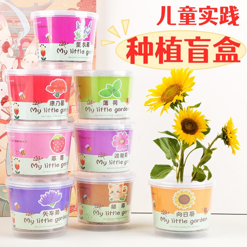 Children's mini potted plant toys, DIY green plants, small potted plants, hydroponics, bonsai, desktop student observation, mini planting