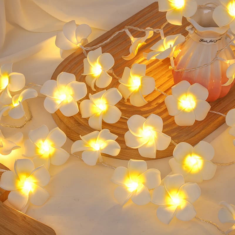 Cross-Border Led Egg Flower Light String Ins Room Decoration Decorative Light Battery Box String Light Wedding Outdoor Holiday Lights