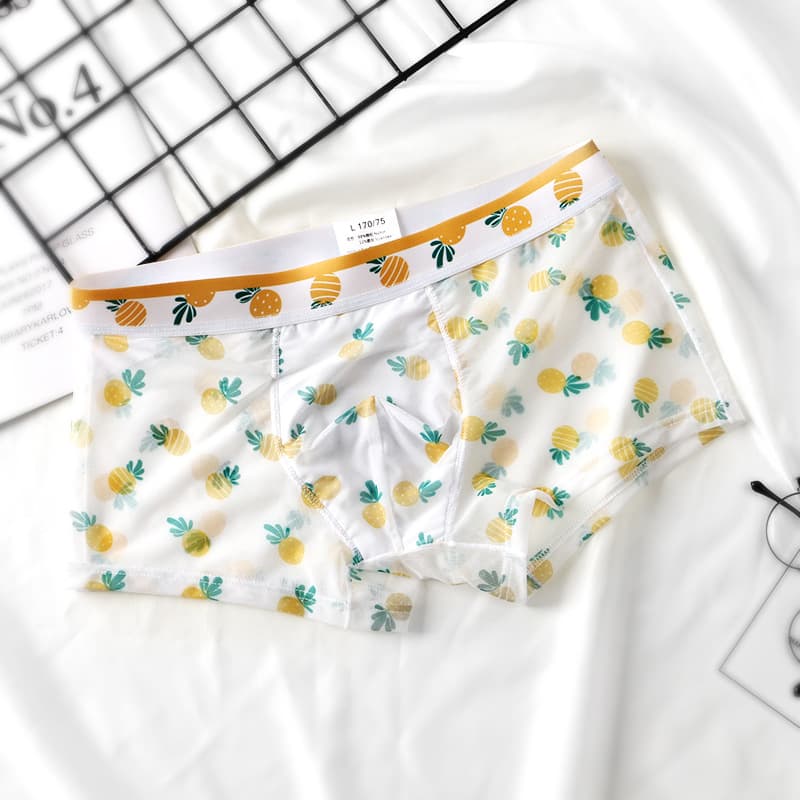 New Mesh Ultra-Thin Transparent Men's Underwear Sexy Breathable Boxer Briefs Summer Printed Shorts for Men