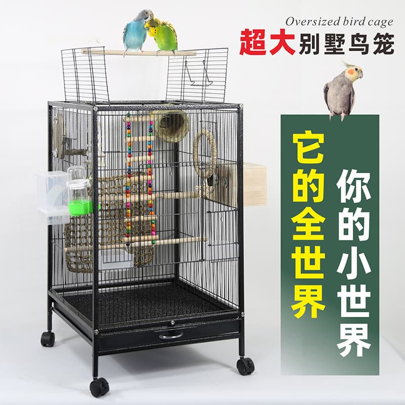 Bird Cage, Parrot Cage, Large Home Use for Cockatiel, Budgie, White-eye, Zebra Finch, Large Bird Cage, Spacious