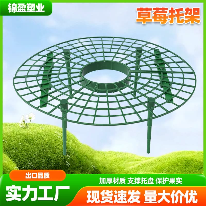 Cross-Border Supply Strawberry Tray Amazon Best-Selling Anti-Rot Gardening Tool Planting Rack Balcony Potted Plant Tray Rack