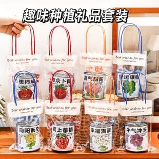 Creative Gift Set Mini Potted Plant Desktop Greenery Blind Box Kindergarten Gift Student Holiday Small Gift