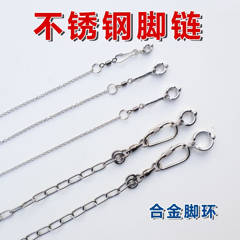 Stainless Steel Bird Leg Chain for Parakeet, Cockatiel, Myna, Starling, Open Ring Leg Band, Bird Stand Accessories