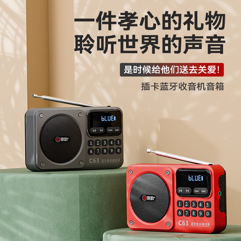 Langyun C63 Radio Portable Mini Bluetooth Speaker with Card Slot Premium Radio Affordable