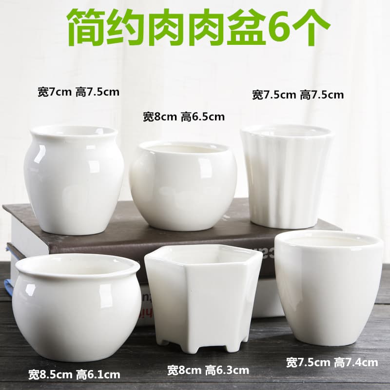 Succulent Flower Pot Coarse Pottery Breathable Large and Small Diameter High-Stem Ceramic Vintage Plant Set Combination Cross-Border Wholesale