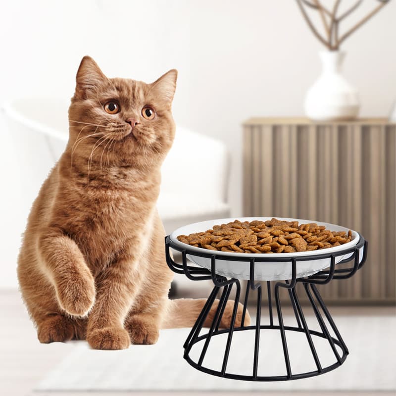 Nordic-style cat bowl, tall ceramic cat food bowl, treat and canned food dish, anti-tipping cat bowl, neck support