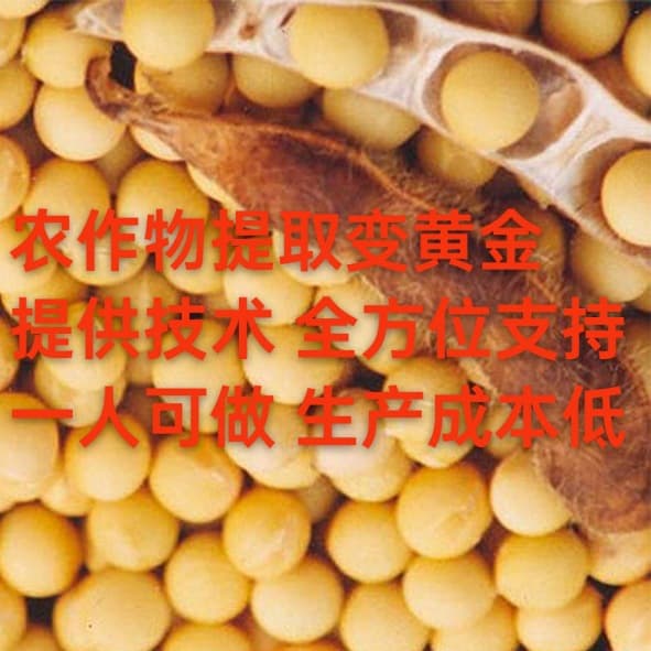 Corn extraction of plant protein peptides: The 'golden track' in crop deep processing