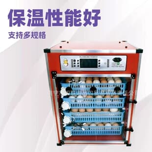 New Red Automatic Egg Incubator, Home Use Small Incubator for Quail and Chicken Eggs