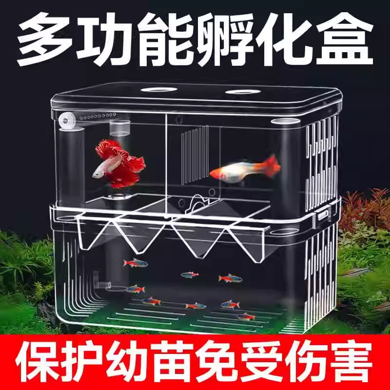 Fish tank isolation box transparent acrylic suspended breeding box guppy tropical fish seedling spawning incubator
