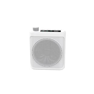 New GT12 Wireless Amplifier for Teachers and Guides, Amplifier with Lavalier Microphone All-in-One