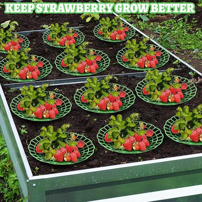 Strawberry Rack Strawberry Tray Fruit Net Planting Support Rack Gardening Potted Plant Home Greenery Splice Anti-Rot Leaf