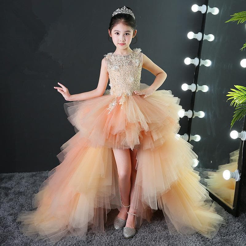 Girls' Evening Gown Princess Dress with Train, Tulle Skirt, for Little Hosts, Birthday, Catwalk, Piano Performance