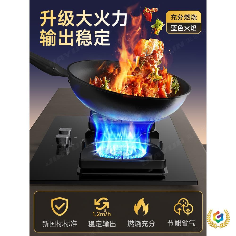 ✅ New National Standard Household 1.2L LPG Regulator Automatic Shut-Off Gas Explosion-Proof Self-Closing Valve Gas