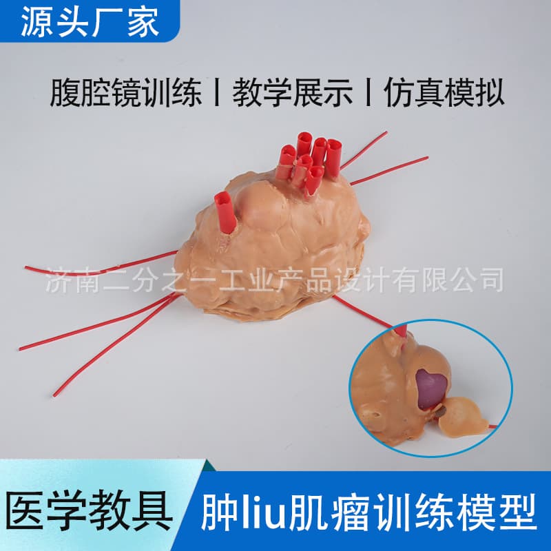 Surgical Medical General Surgery Obstetrics Gynecology Urology Cardiothoracic Laparoscopic Tumor Myoma Suture Silicone Training Module Model