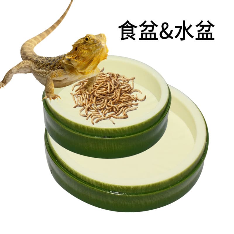 Leaf Shaped Feeding Bowl Water Dish Turtle Palace Guard Corn Snake Drinking Water Bowl Plastic Pet Supplies Simulation