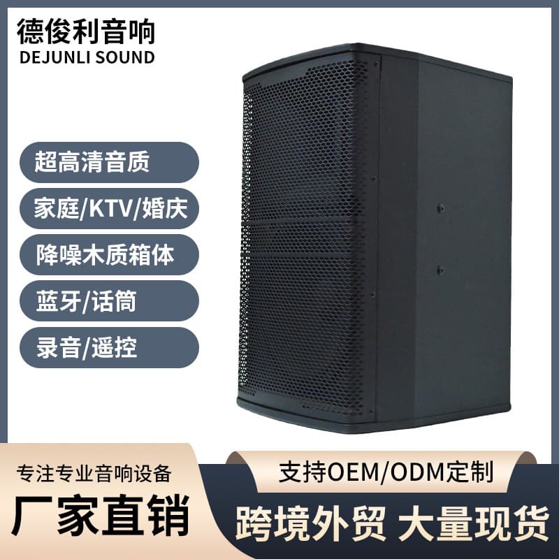 Factory Direct Professional KTV Speaker Single 12-inch High-Power Conference Veneer Speaker Outdoor Performance Stage Audio