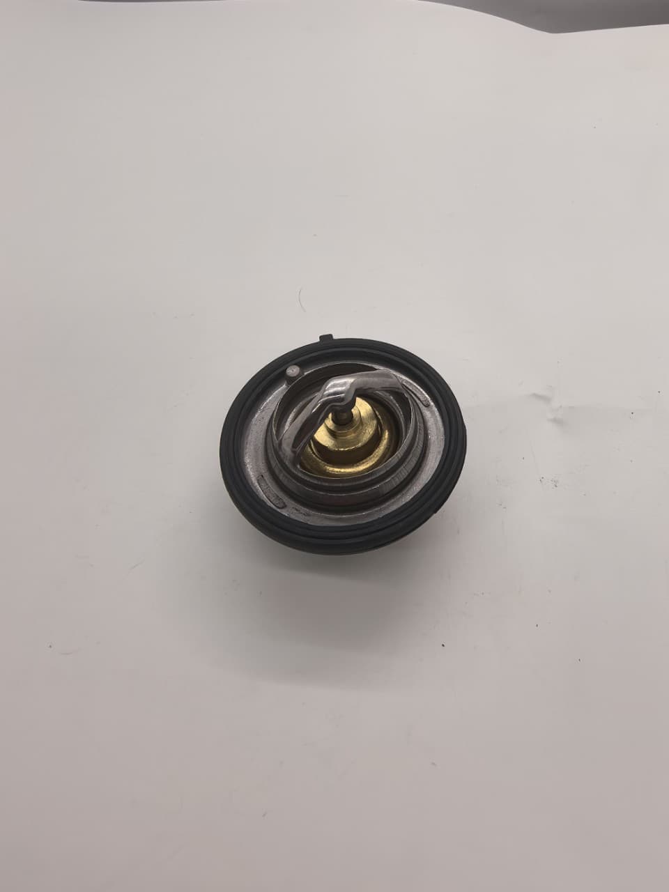 Thermostat 24101266.