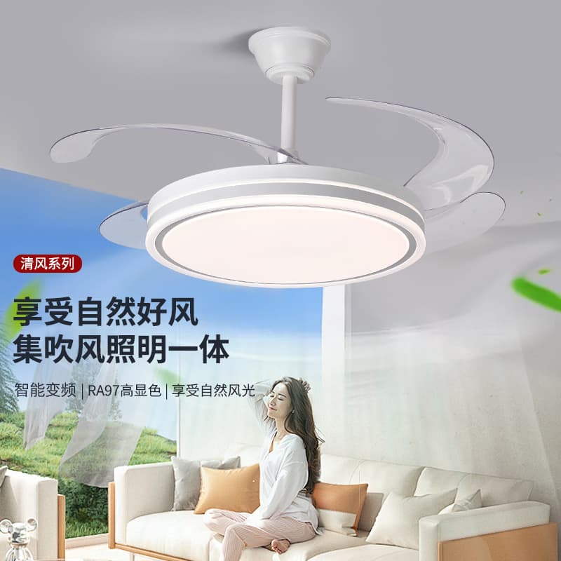 New Hidden Fan Light Cross-Border Custom Ceiling Fan Light Home Use Eye-Caring Silent Simple Fan Light Bedroom Dining Room