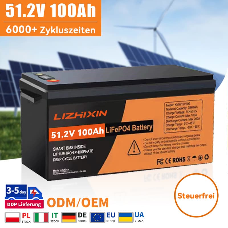 51.2V 100AH LiFePO4 Batteriepack mit BMS 24V 48V 200AH 300AH
