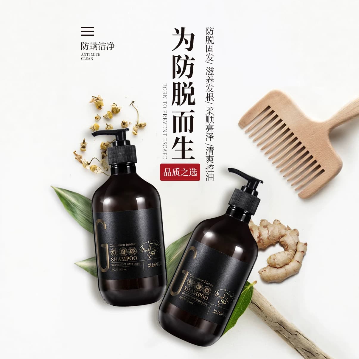 Xuangu Cedar Leaf Ginger Shampoo Anti-Hair Loss Strengthening Volumizing Refreshing Men Women Ginger Shampoo Paste Wholesale