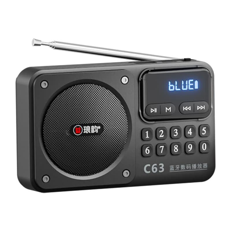 Langyun C63 Bluetooth Radio with Card and USB Playback, Portable Audio Player for Seniors