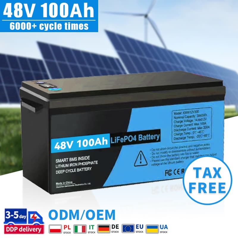 48V 100Ah Rechargeable Lithium Ion Battery Pack for RV 51.2V