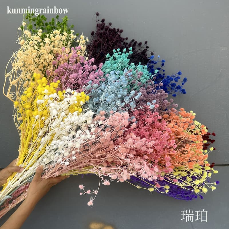 Eternal Flower Lover Fruit Bleached Small Thorn Celery bouquet Real Flower Dried Flower Gift Home Decoration Aromatherapy Candle Material Bag