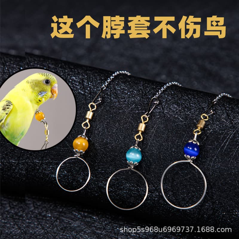 Myna Budgie Bird Neck Collar Rose-ringed Parakeet Cockatiel Parrot Neck Ring Stainless Steel Bird Chain Training Tool Live Knot