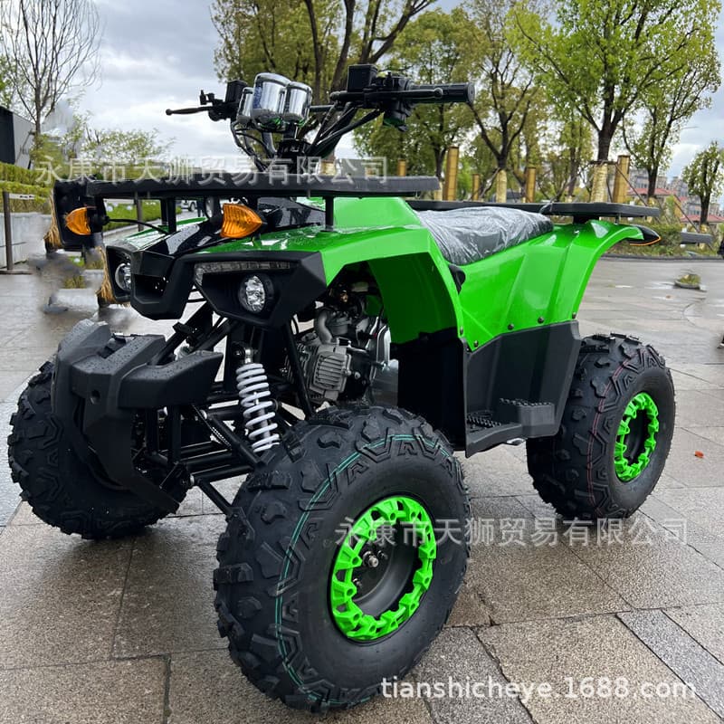 Off-road Beach Vehicle 4x4 Drive Dune Buster Suspension System