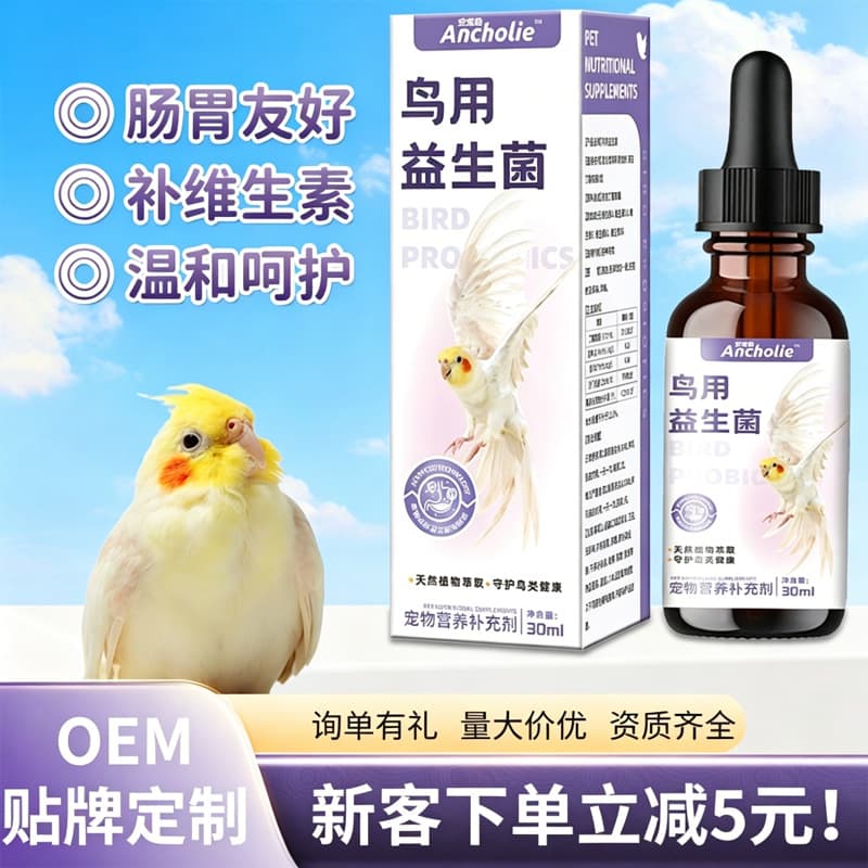 Probiotics for Parrots and Birds to Support Intestinal Nutrition Supplement, Bird Probiotics Essential, Factory Wholesale