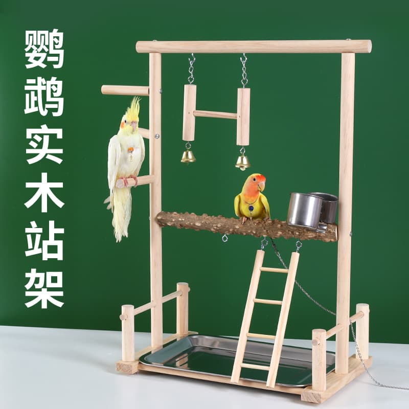 Parrot Perch Stand for Lovebird Cockatiel Training Perch Nail Grinding Solid Wood Stand Zanthoxylum Wood Sanded Toy