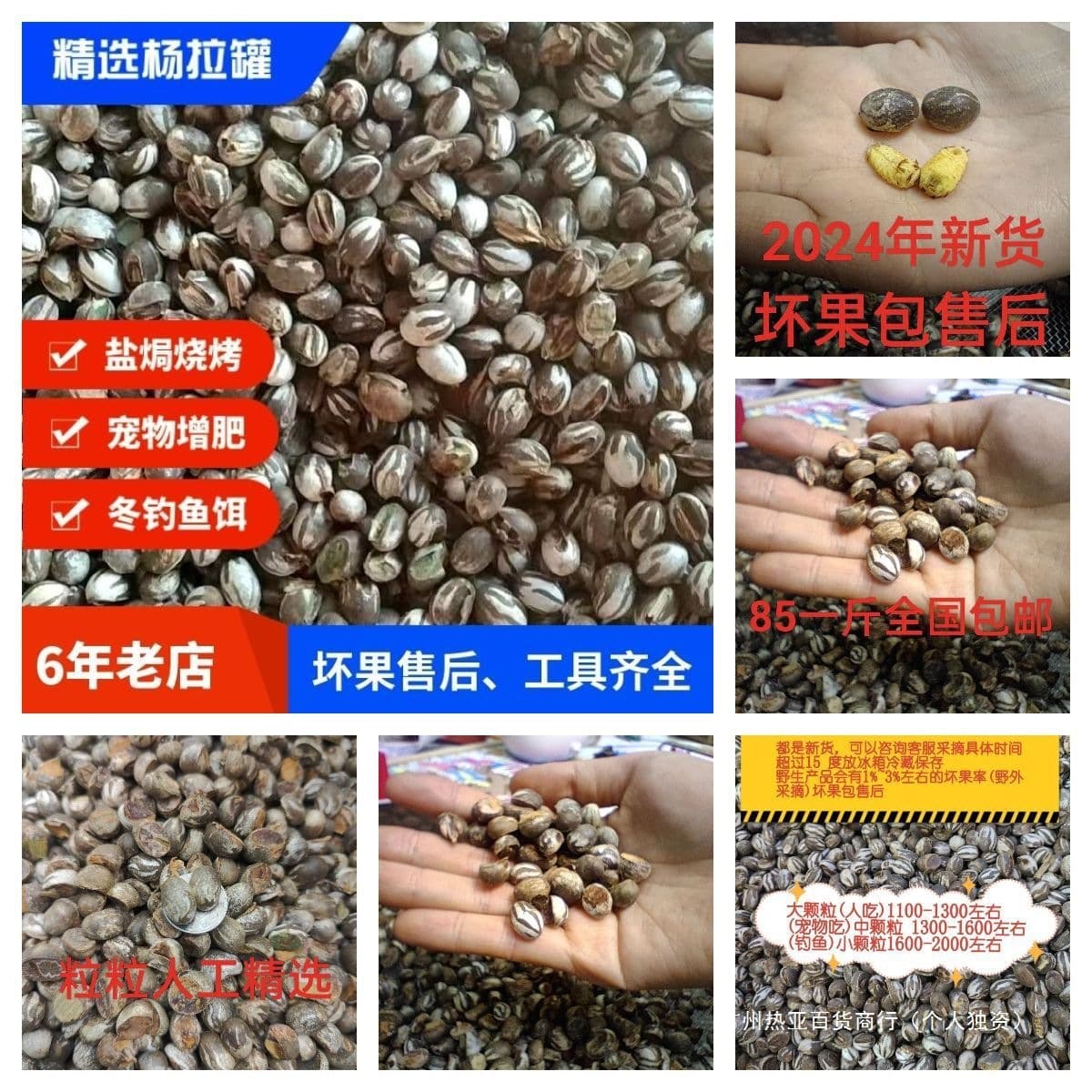 Sugar Glider Insect Tank, Yang Pull Can, Fishing Bait, Handpicked Lizard Meat, Hamster, One Catty, Long Spicy, Others