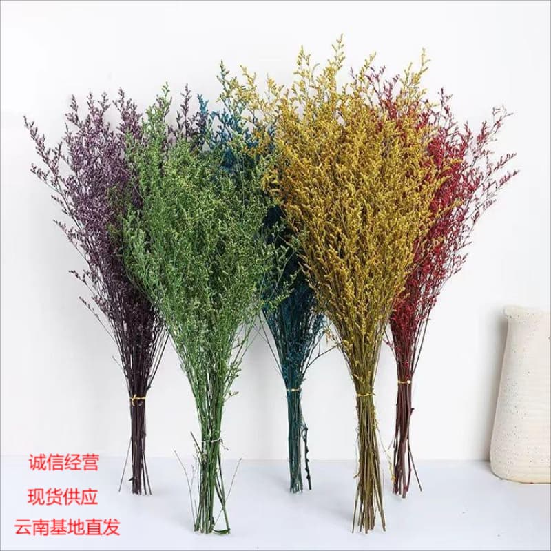 Preserved Baby's Breath Dried Flowers Yunnan Factory Direct Color Absorbing Baby's Breath DIY Material Kit Wholesale Fresh Flowers