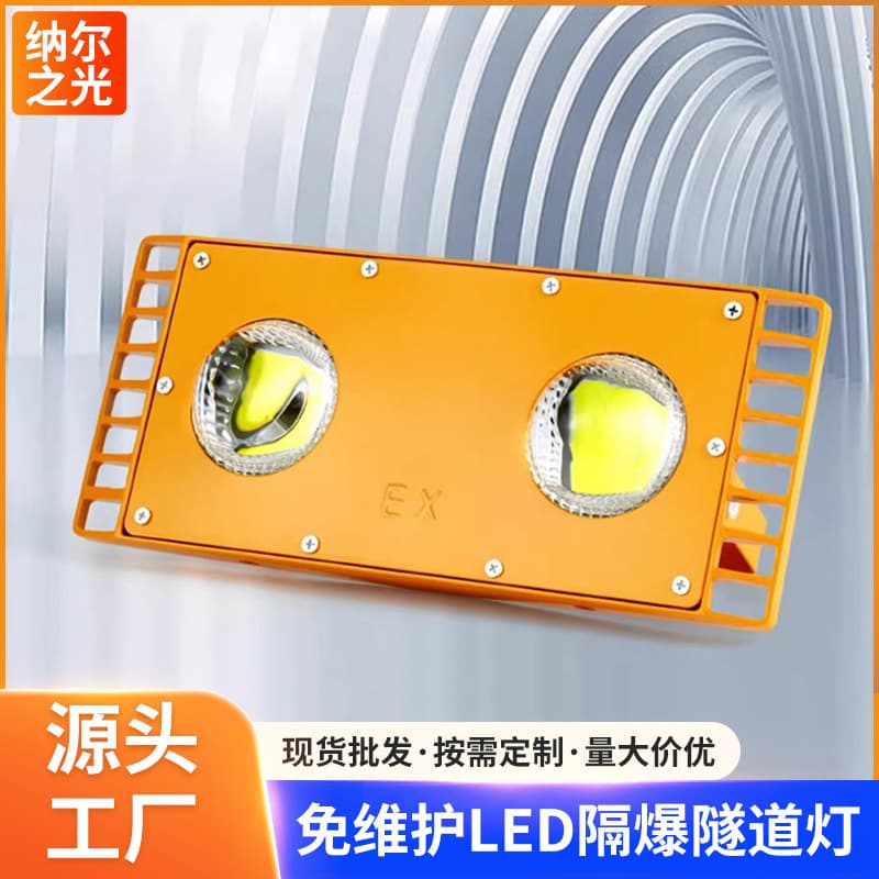 Factory Tunnel Explosion-Proof Light Gas Station Warehouse Low Voltage Marine Floodlight Outdoor Waterproof Spotlight Emergency Lighting