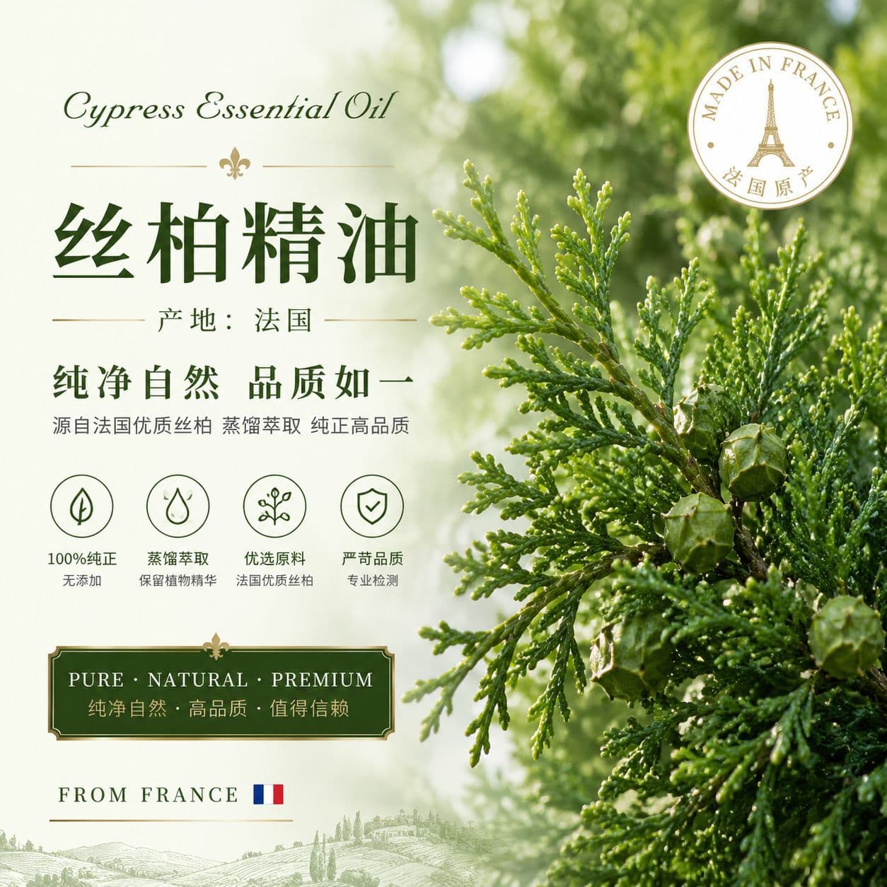 Cedarwood Essential Oil Moisturizing Facial Serum Single Note Aromatherapy Fragrance Body Care Universal Skin Type