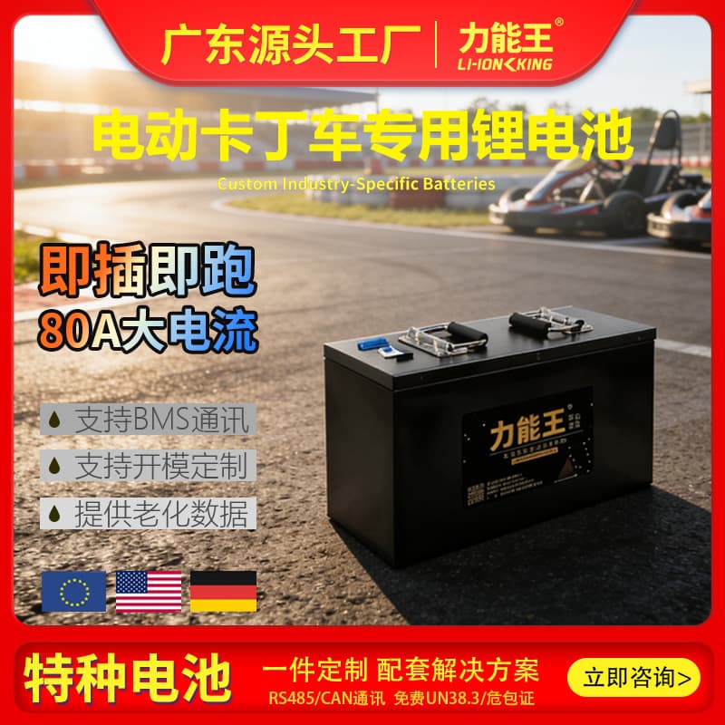 Linengwang Special Lithium Battery for Go-Kart, Precision Structure, High and Low Temperature Resistance, Suitable for Complex Working Conditions Power Supply