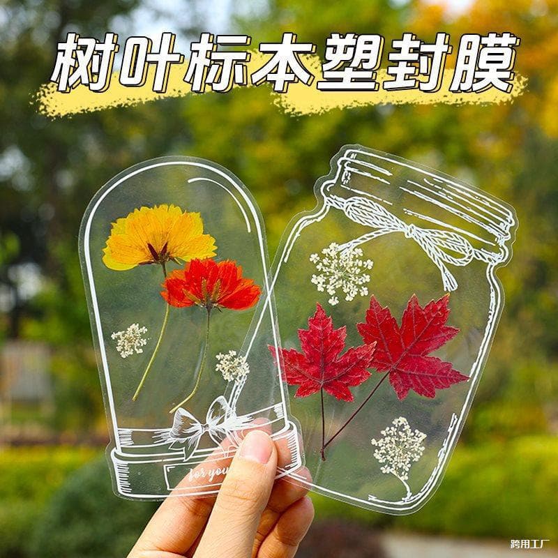 Leaf specimen plastic sealing film, plant cold laminating film, self-adhesive high-gloss plastic film, plastic sealing sticker, transparent bookmark protective film