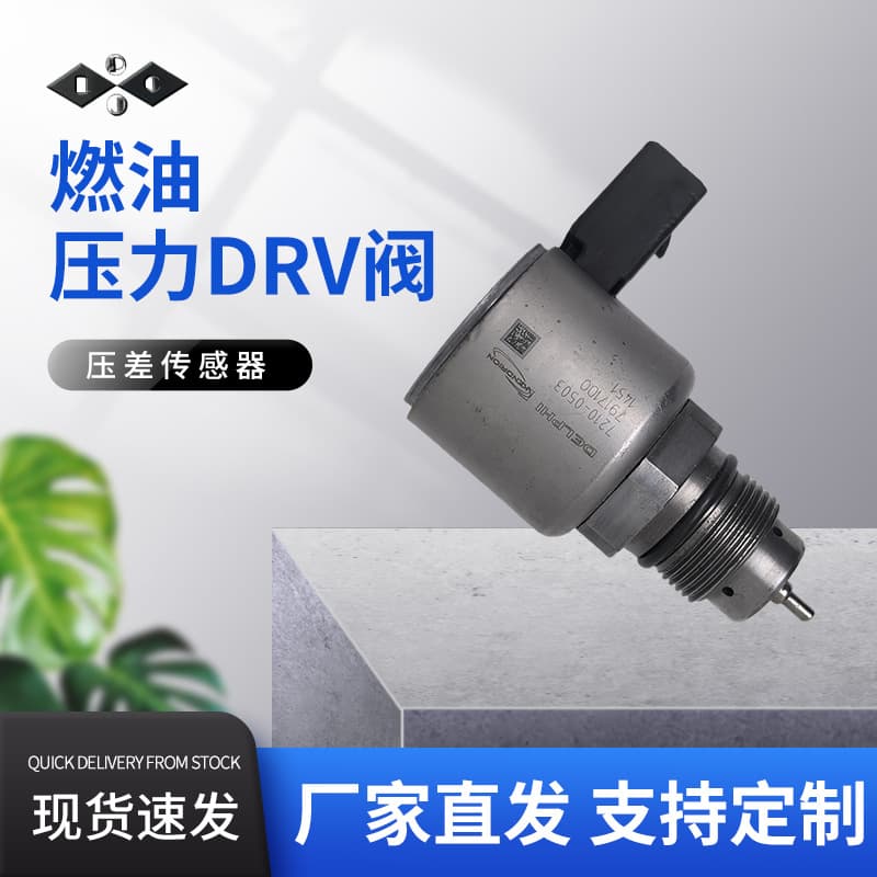 2136382PE DRV Compatible with DELPHI BEBR3B01000 Fuel Rail