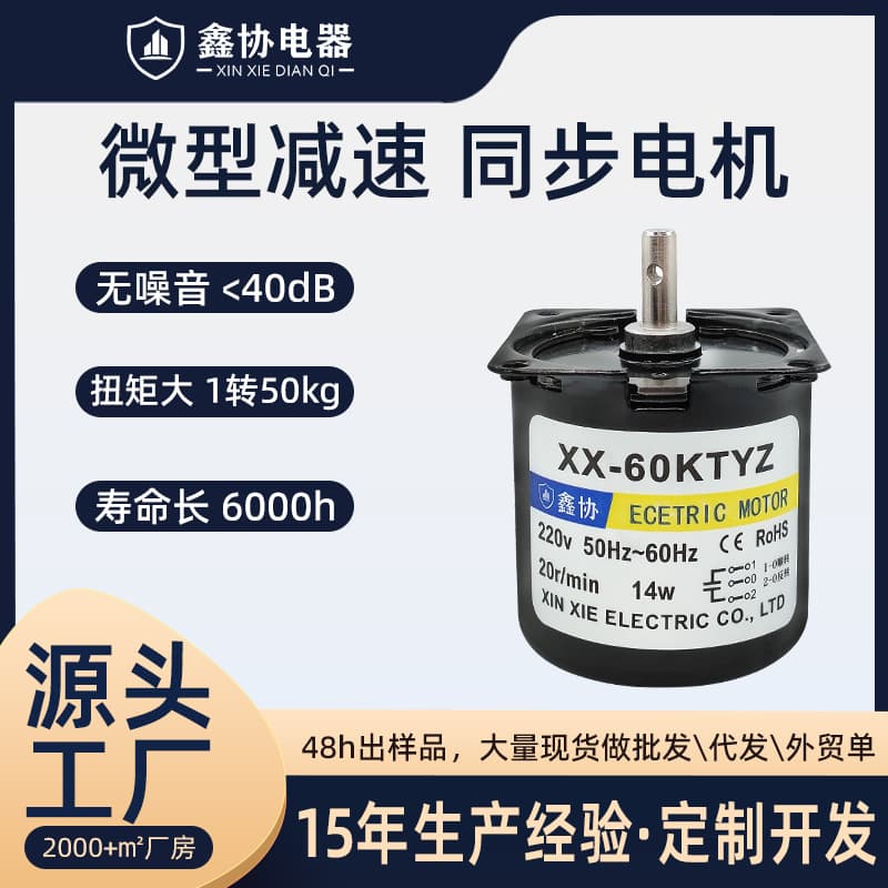 Micro 220V Permanent Magnet Synchronous Motor Speed Reducer for Curtain Roll Up Small Brushless AC Motor for Oven and Other Products