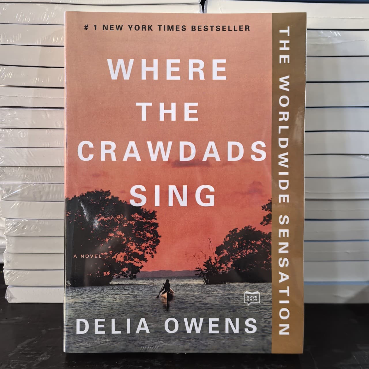 Where the Crawdads Sing - English version