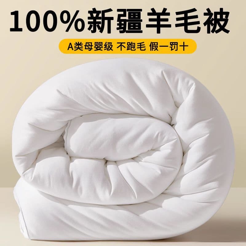 Class A Xinjiang Pure Wool Quilt Winter Quilt Extra Warmth Spring/Autumn Quilt Cotton Filling Student Dormitory 10 Jin Free Shipping